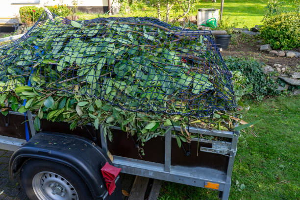 Best Hoarding Cleanup  in Middle River, MD